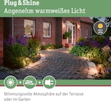 thumbnail of Paulmann Plug & Shine LED Pollerleuchte Classic Einzelleuchte Mini IP44 3000K 2W   Anthrazit 94323