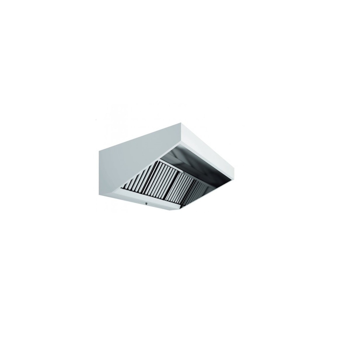 Campana Industrial Extractora Acero Inoxidable Techo Bajo Elevada 1500x900x550mm