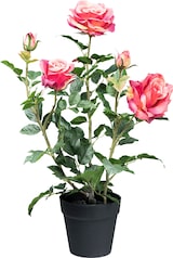 thumbnail of CREATIV green Künstliche Pflanze Rosenbusch im Topf in pink, 2er Set