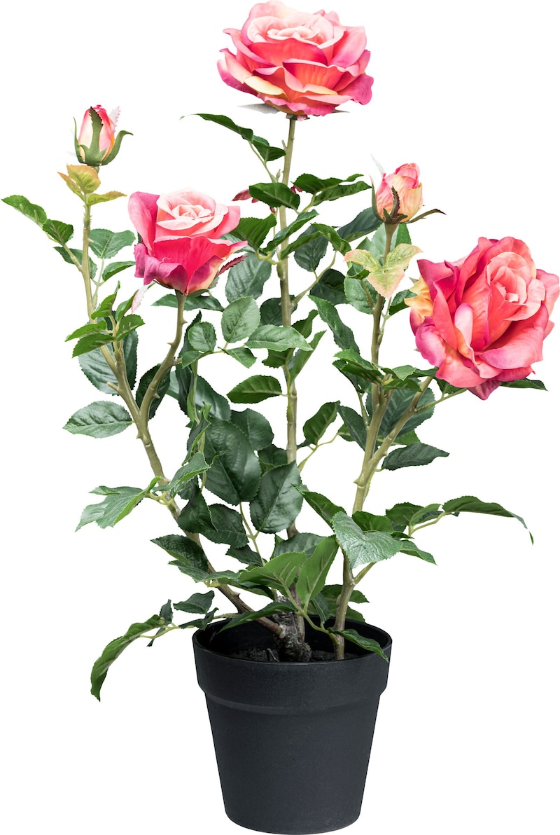 mobile_image