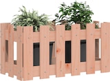 Ein hölzerner Blumenkasten mit zwei Pflanzen.