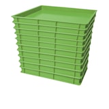 thumbnail of Set 10 x Pizzateigbox Teigbehälter Stapelbox Teigbox Pizzabox, grün, 600x400x100mm