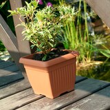 thumbnail of Prosperplast - TERRA 1,7-l-Blumentopf – 15 x 15 x 13 cm in Terrakottafarbe
