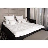 thumbnail of HS45 Decken 200x220 cm 70 % Daunen - 30 % Federn – SOMMER 1000 G