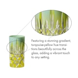 thumbnail of Riedel LAUDON Highball Longdrinkglas 395 ml Türkis-Gelb