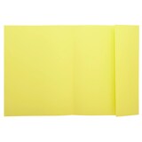 thumbnail of Exacompta - Réf. 348000E - Carton de 500 chemises semi rigides avec 1 rabat SUPER 160 g/m² - dim 24 x 32 cm pour format A4 - 5 couleurs