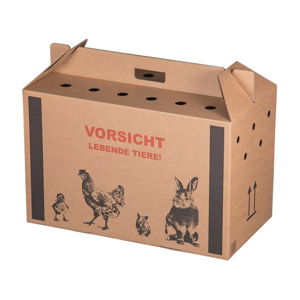 10x Transportkarton für Kleintiere  580x310x370mm mit Tragegriff Luftlöchern und Automatikboden - Größe L