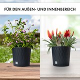 thumbnail of 2 x Blumentopf Blumenkübel Pflanzentopf Pflanzkübel Blumenkübel Rattan groß 2 x Ø 25 cm