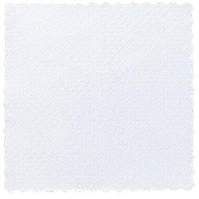Duni Papier-Serviette 17 x 17 cm Weiß, 4000 Stk