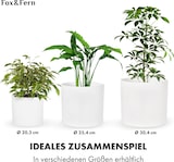 thumbnail of Venlo Blumentopf Polystone in- und outdoor 3 GrößenWeiß