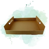 thumbnail of PACKNWOOD - 100u - Bandeja de cartón kraft con asas 390x290mm H42mm - 210PAPTRAY39