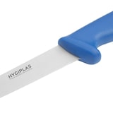 thumbnail of Hygiplas Filiermesser 15Cm Blau