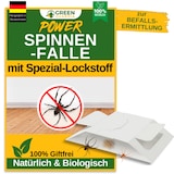 thumbnail of Spinnen Falle mit Spezial-Lockstoff: 15