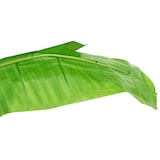 thumbnail of vidaXL Künstlicher Bananenbaum mit Topf 300 cm Grün