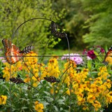 thumbnail of Relaxdays Beetzaun, 5-teilige Beetumrandung für Garten, Dekozaun Metall, Schmetterling Design, HxB: 46 x 250 cm, schwarz