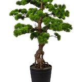 thumbnail of CREATIV green künstliche Pflanze Bonsai Kiefer ca 140x60cm, im Kunststofftopf 21x23cm schwarz