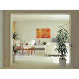 thumbnail of Licht-Erlebnisse Lavalampe Jenny Lila Orange 42cm Retro Tisch Lampe Stimmungslicht