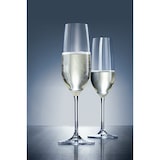 thumbnail of Schott Zwiesel Vina Champagneflûte met MP 77 - 0.26 Ltr - set van 6