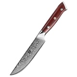 thumbnail of XinZuo - Damascus Steakmes - B13R Yu series