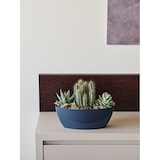 thumbnail of Teraplast glanzende rechthoekige kunststof plantenbak Sunrise cm 36 - wit