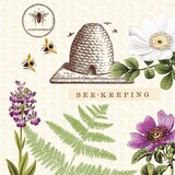 thumbnail of Mank Serviette Softpoint Bee-Keeping, 40 x 40 cm, 50 Stück - Bienen Natur Blumen Blüten Gräser