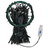 thumbnail of vidaXL Kerstboomverlichting met 210 LED's net 210 cm