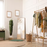 thumbnail of HOMCOM Espejo de Pared Cuerpo Entero 125x45 cm Decorativo para Salón Natural