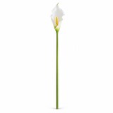 thumbnail of LAYBA Künstliche Calla 63 cm weiß Kunstblume für Vase