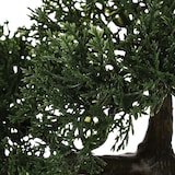 thumbnail of WellHome - Bonsai artificial en maceta de cerámica 35 x 32 x 34cm