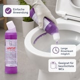 thumbnail of SANIT WC Reiniger flüssig 750 ml