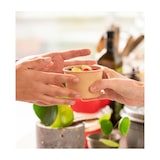 thumbnail of MONOUSO - Contenitore di Cartone Kraft-Kraft Dessert 250ml Ø9,0cm (500 Pezzi)