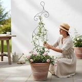 thumbnail of DanDiBo Rankhilfe Kletterhilfe Metall Schwarz 140 cm Bodenstecker Frau Lora Gartenstecker Rankgitter Kletterpflanzen Blumenhalter Ranksäule