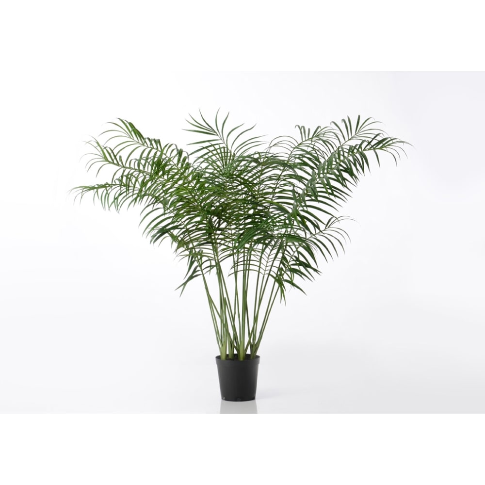 Palmier Areca 200 cm -  Vert  Plastique Lou De Castellane 0.01x0.01 cm