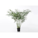 thumbnail of Palmier Areca 200 cm -  Vert  Plastique Lou De Castellane 0.01x0.01 cm