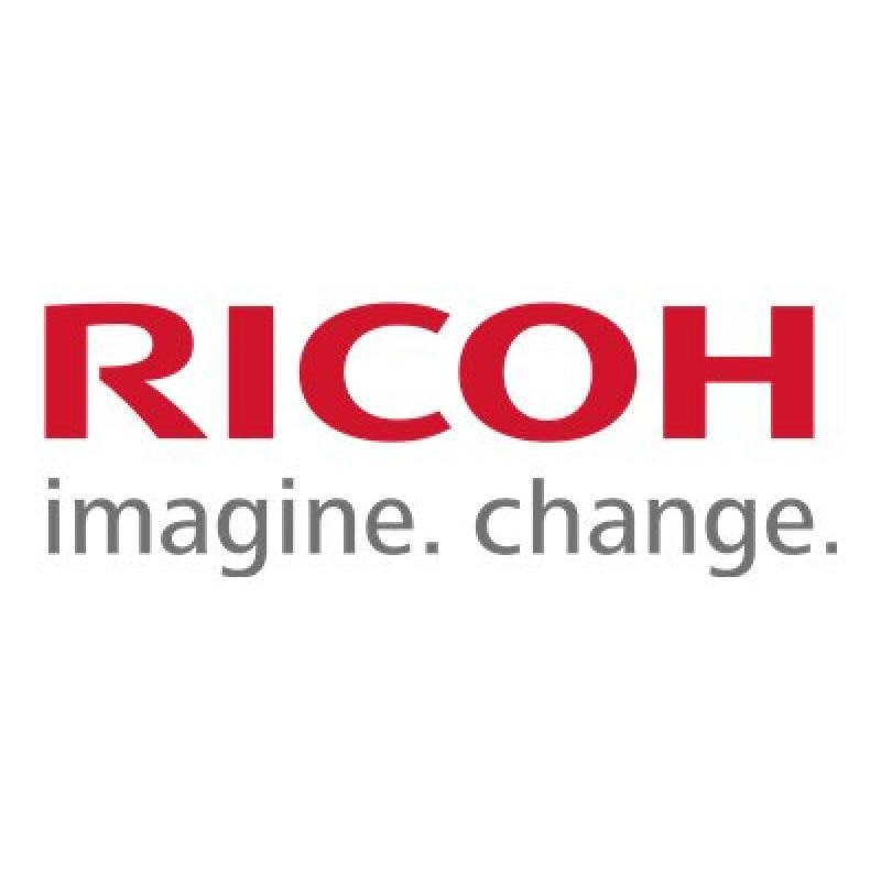 RICOH Toner Noir SP4500HE 407318