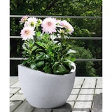 thumbnail of Scheurich Wave Globe 30, bac à plantes/pot à fleurs, cylindrique, coloris: Stony Grey, fabriqué avec du plastique recyclé, pour l’extérieur