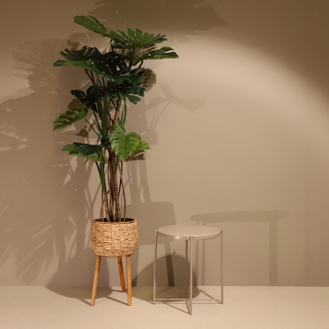 Pianta artificiale Monstera 160 cm - Naturing Monde - Interni