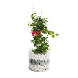 thumbnail of Wilk Gabione Amber M