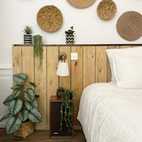 thumbnail of LIGNE DÉCO Plante succulente retombante artificielle 60cm lot de 2