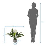 thumbnail of Planta artificial Spathiphyllum 1 hjh OFFICE