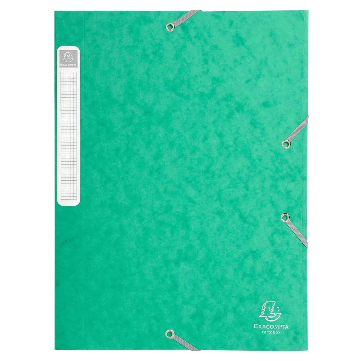 Exacompta 18503H 25x Archivbox Cartobox, flach geliefert, Rücken 25mm aus Colorspan-Karton, mit 3 Klappen und Gummizug, 25x33cm für DIN A4 - Grün