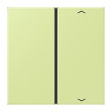 thumbnail of Jung Taste 1fach m. Pfeilsymb. LC 401 TSAP 222 LC401TSAP222