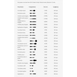 thumbnail of Salvinelli President, set 12 forchettina dolce acciaio inox 18/10