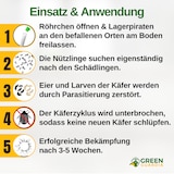 thumbnail of Lagerpiraten gegen Speckkäfer, Reismehl-/, Pelz-/ & Teppichkäfer: 5 x 30 Nützlinge für ca. 75m²