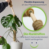 thumbnail of Erweiterbare Pflanzenstütze mit Kokosfilz – Rankhilfe 60 cm