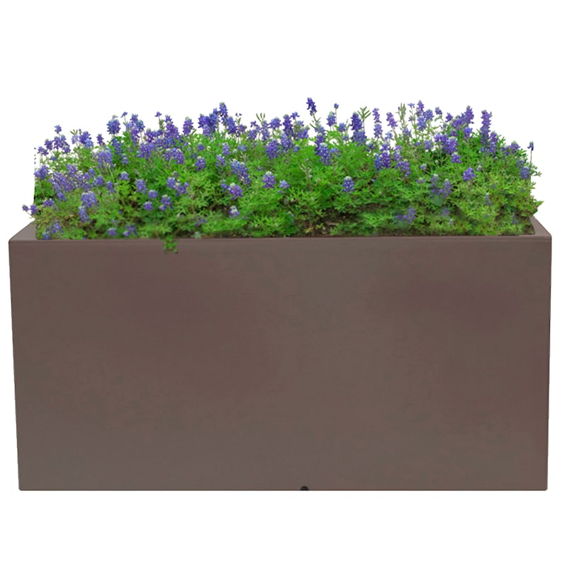 mobile_image