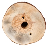 thumbnail of Schwedenfeuer Sorgen Sie für Stimmung