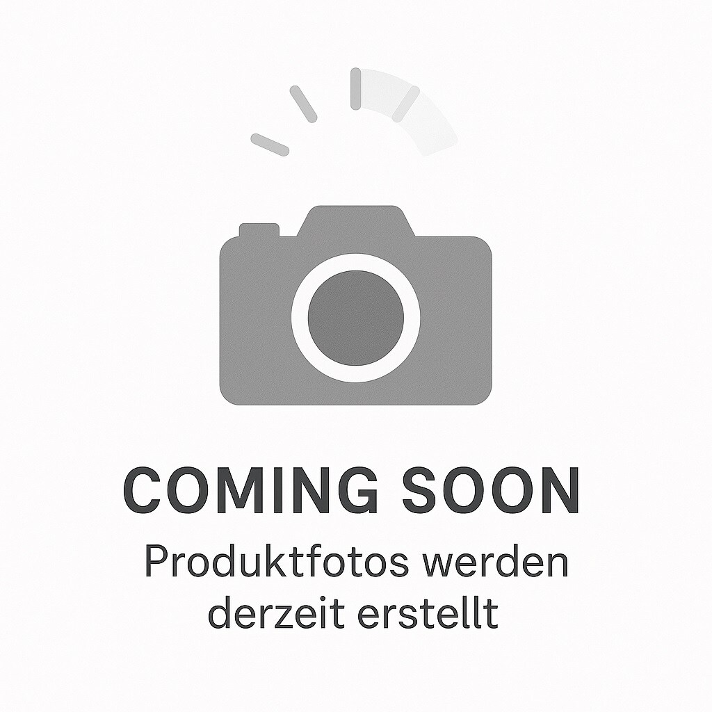 TechniSat DigitRadio BT 1