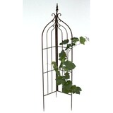 thumbnail of DanDiBo Rankhilfe Garten Metall Schwarz 120033 Rankgitter Blumen 132 cm Kletterpflanzen Rosen Bodenstecker Kletterhilfe Blumenhalter Ranksäule Zaun