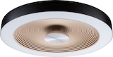 thumbnail of Paulmann LED Deckenleuchte Volea IP44  3000K 1300lm / 0lm 230V 4W / 18,5W dimmbar Schwarz#Gold 71180